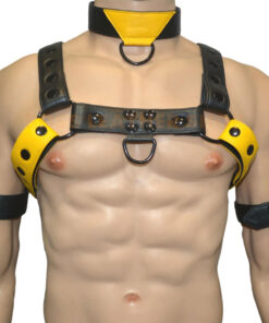 Mens Leather Body Harness​