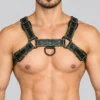 Leather Harness