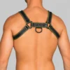Leather Harness - Image 2