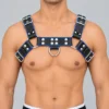 Leather Shoulder Harness