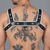 Real Leather Harness - Image 2