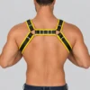 Harness Leather - Image 2