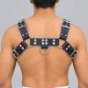 Leather Shoulder Harness - Image 2