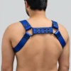 Blue Chest Harness Premium - Image 2