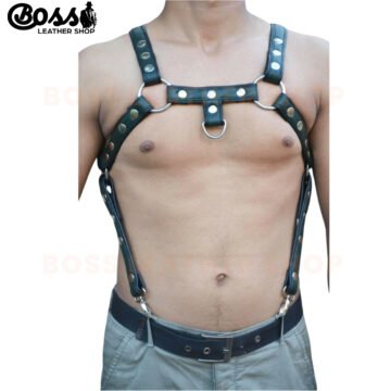 Leather Harness For Sale