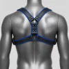 Gay Leather Harness - Image 2